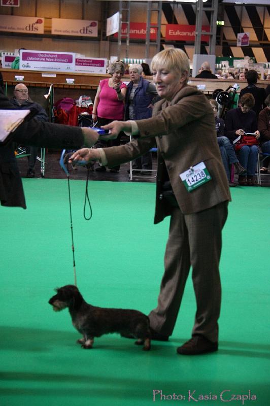 Crufts2011_2 702.jpg